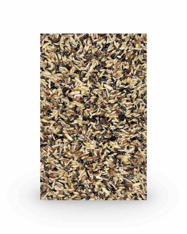 Feine Saaten Waldvogel